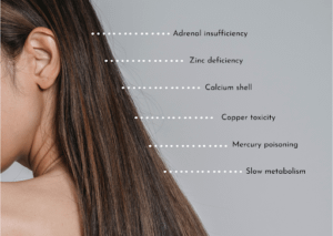 HTMA is a reliable and accurate tool to evaluate levels of minerals like Calcium, Sodium, Potassium, Iron, Magnesium, and Copper in the cells of your hair or scalp. One can use it to identify deficiencies, illnesses, or imbalances in their diet and lifestyle. 